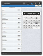 iPad Screen Example